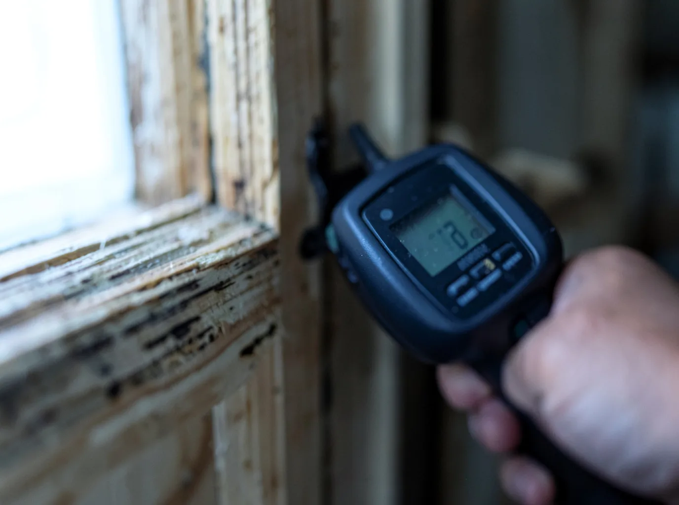 Commercial Water Damage Restoration in Elkhorn, WV